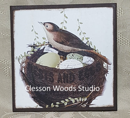 Spring Bird Nest 5"x5" Interchangeable Canvas