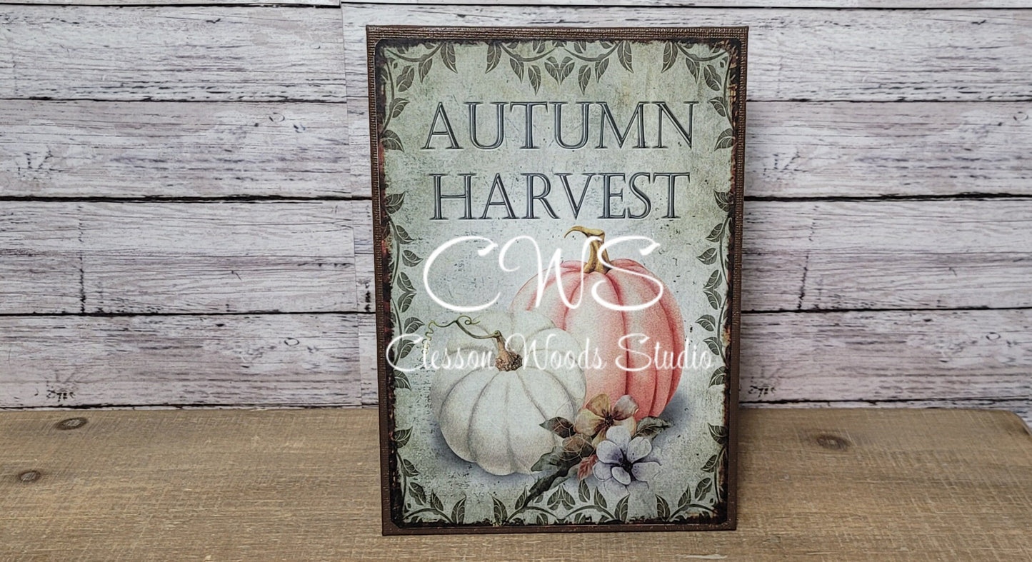 Autumn Harvest White and Orange Pumpkin5"x7" Canvas Insert