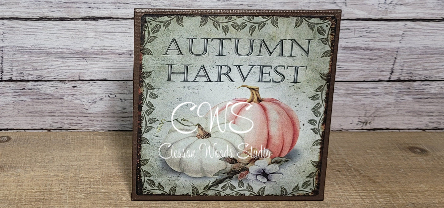 Autumn Harvest White and Orange Pumpkin 5"x5" Interchangeable Canvas