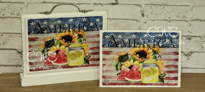America Watermelon Lemonade Sunflower 7" x 5" Interchangeable Canvas or Display Set